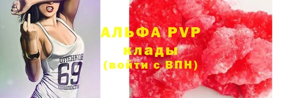 мяу мяу кристалл Корсаков