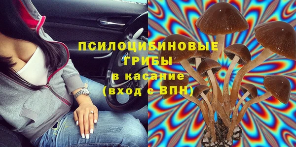 бошки Абинск