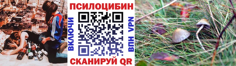 что такое Сычёвка Галлюциногенные грибы Psilocybe